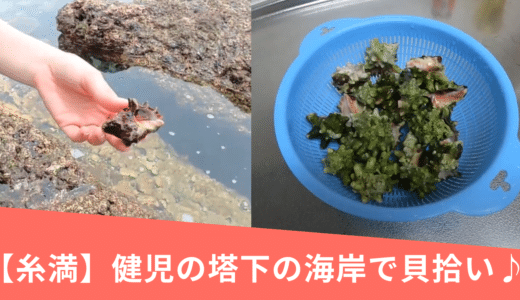【沖縄県糸満】健児の塔下の海岸で貝い拾い！シュノーケリングも楽しめる秘密のポイント♪